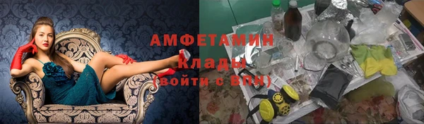 шишки Чекалин