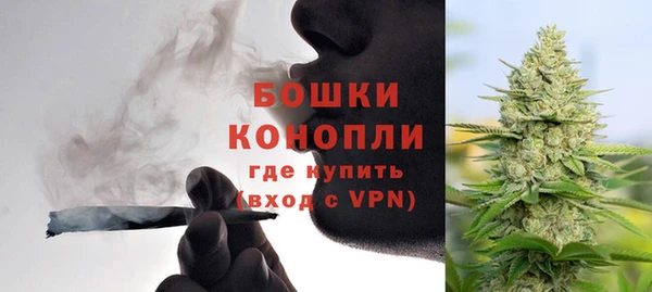 сатива Шадринск