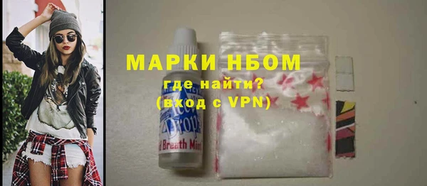 сатива Шадринск