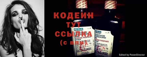 трава Шарыпово