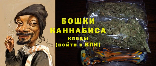 сатива Шадринск