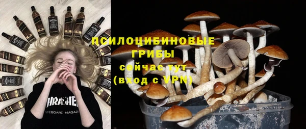 трава Шарыпово