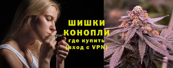 трава Шарыпово